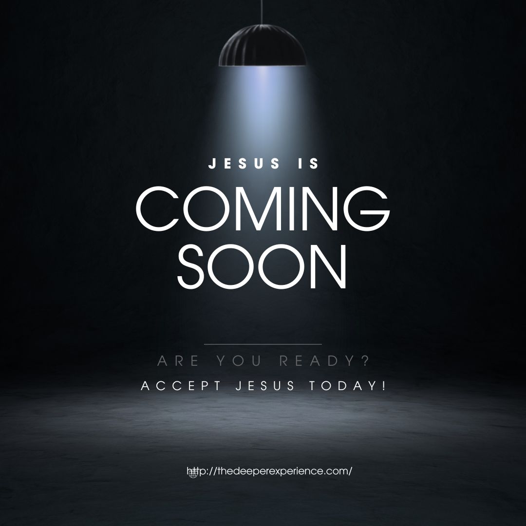 WhatsApp Image 2025-05-05 at 11.30.45